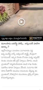 WhatsApp Image 2025-11-30 at 22.35.13